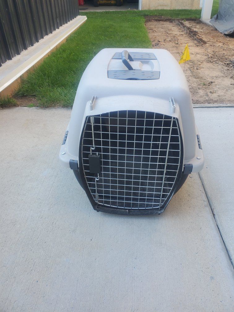 Dog or Cat Carrier