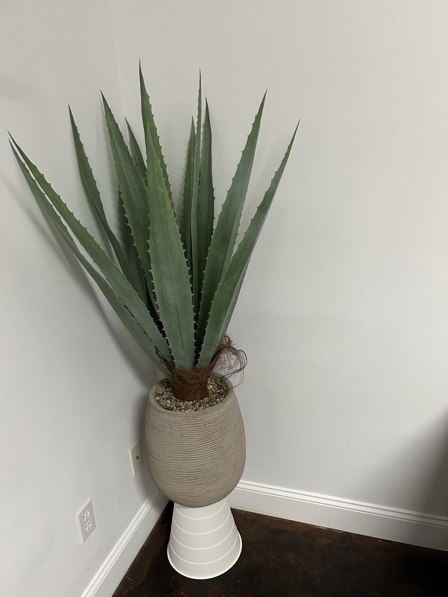 Faux Agave Plant
