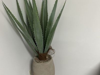 Faux Agave Plant