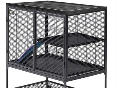 Critter Nation by MidWest Homes for Pets Single Unit Small Animal Cage, Habitat for Rats, Chinchillas, Ferrets, Sugar Gliders