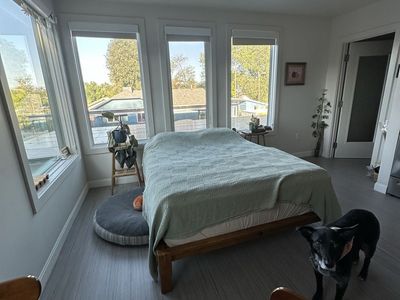 Thuma Queen Bedframe