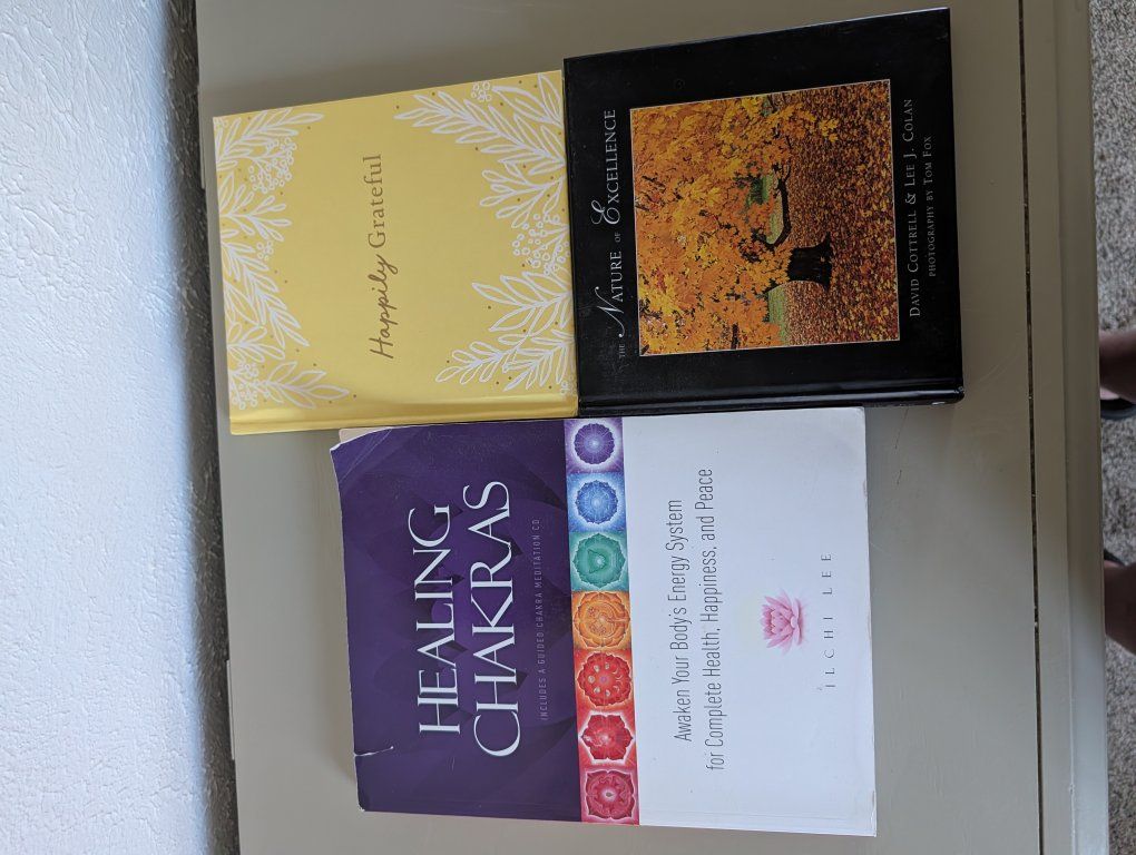 3 book bundle $10