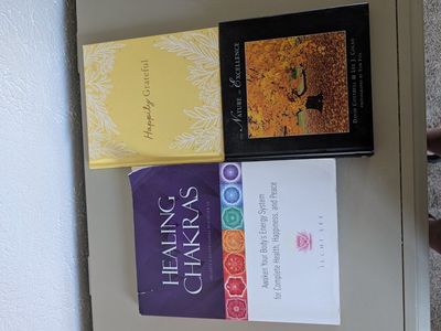 3 book bundle $10