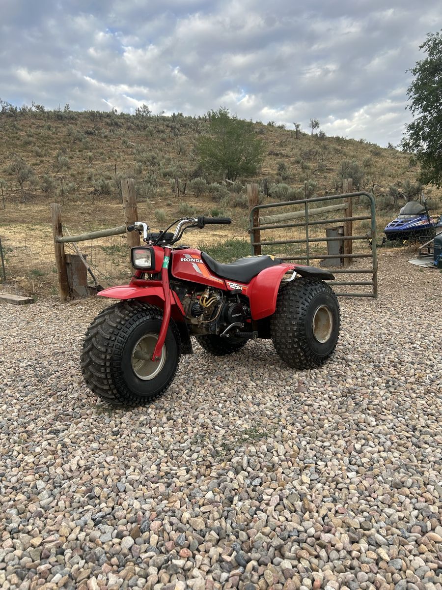 Honda atc 125m 3 wheeler