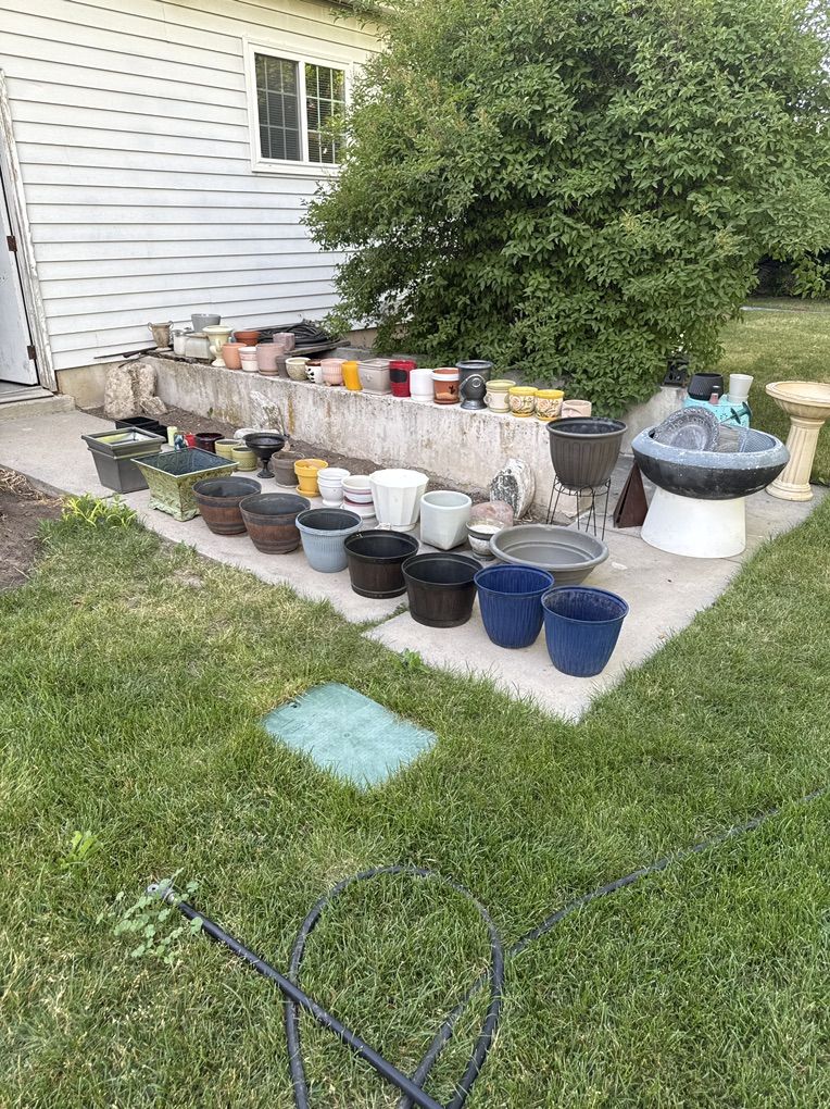 Pots and Plant Stands