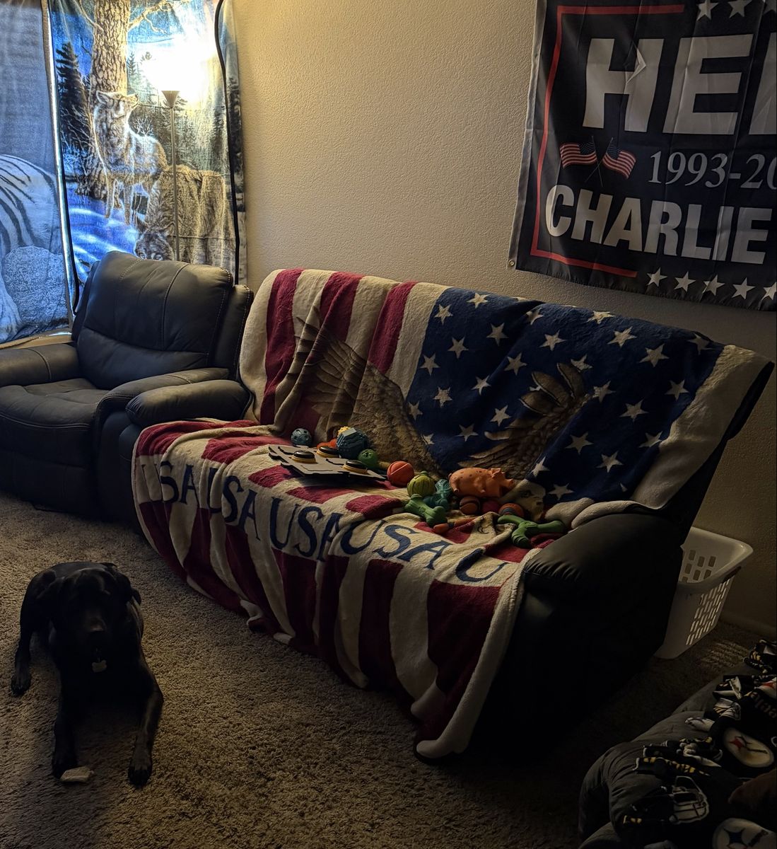 Recliner couch for sale (dog not included)
