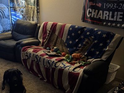 Recliner couch for sale (dog not included)