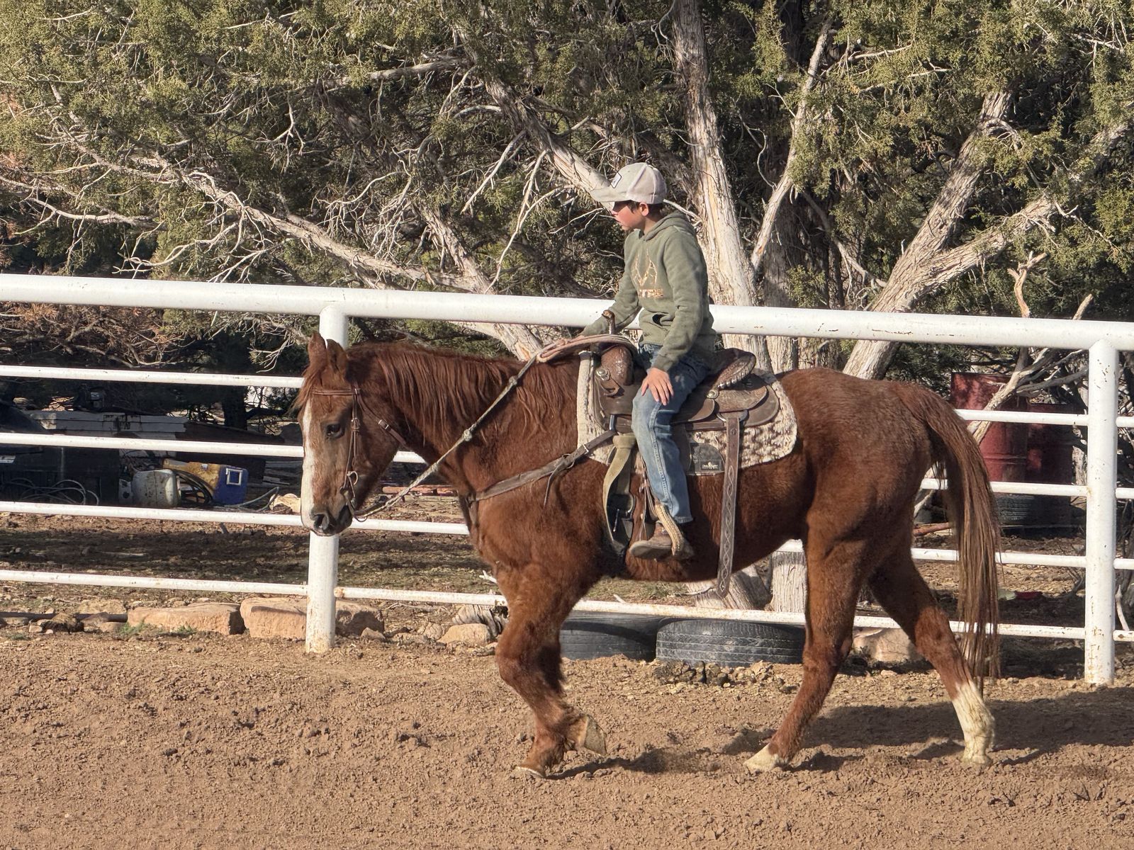Very Nice Beginner Or kids Horse!