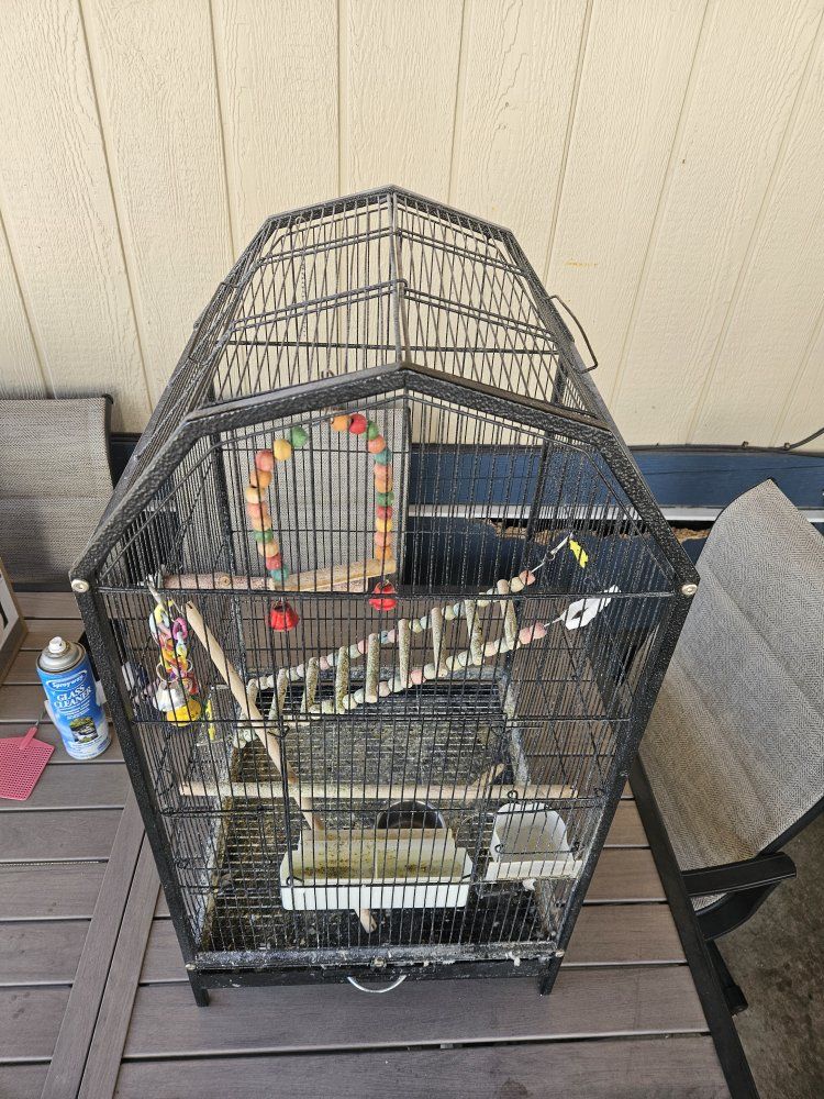 Large Black Metal Bird Cage with Perches and Toys - Used Bird Cage for Small to Medium Birds