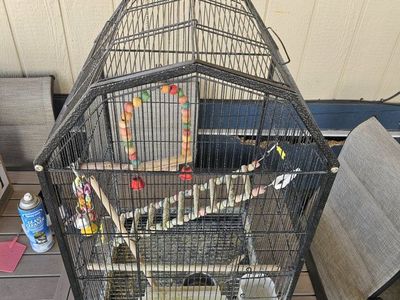 Large Black Metal Bird Cage with Perches and Toys - Used Bird Cage for Small to Medium Birds