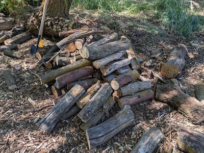 FREE Cut Firewood Pile