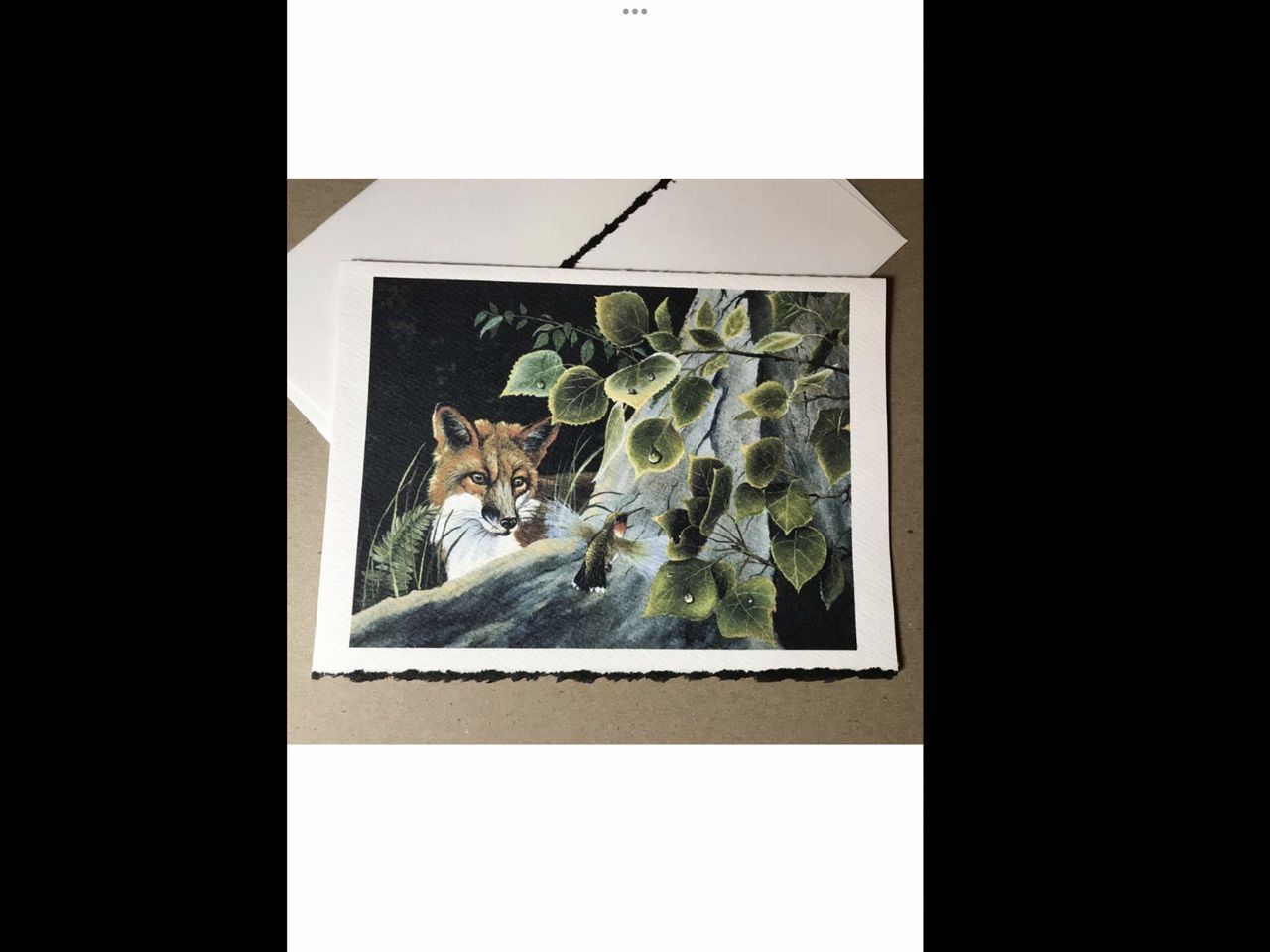 Main image 8