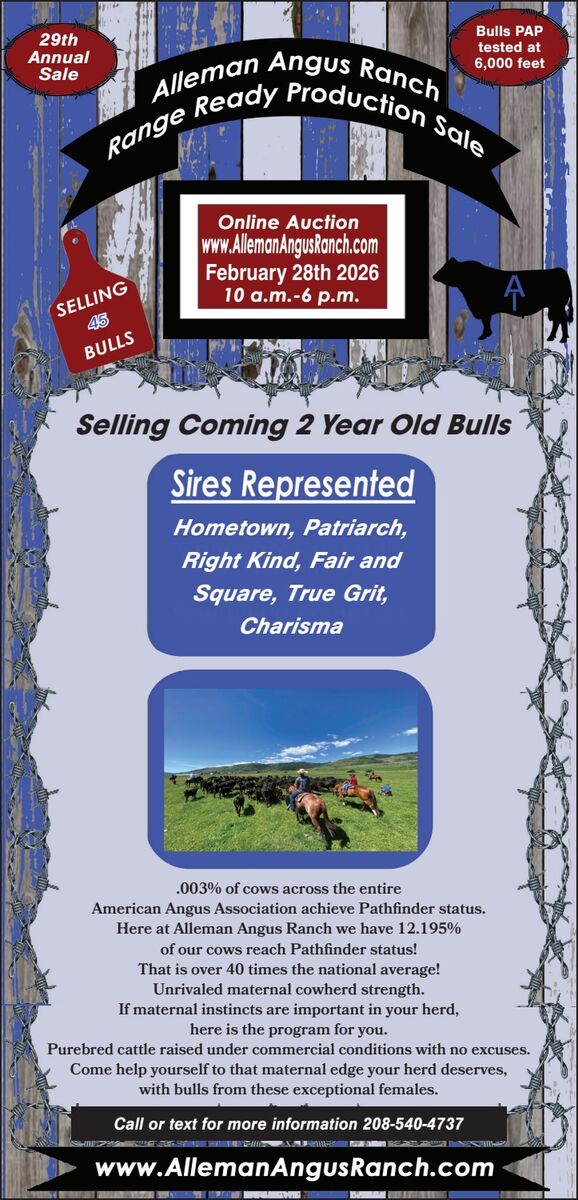 Alleman Angus Ranch Range Ready Bull Sale
