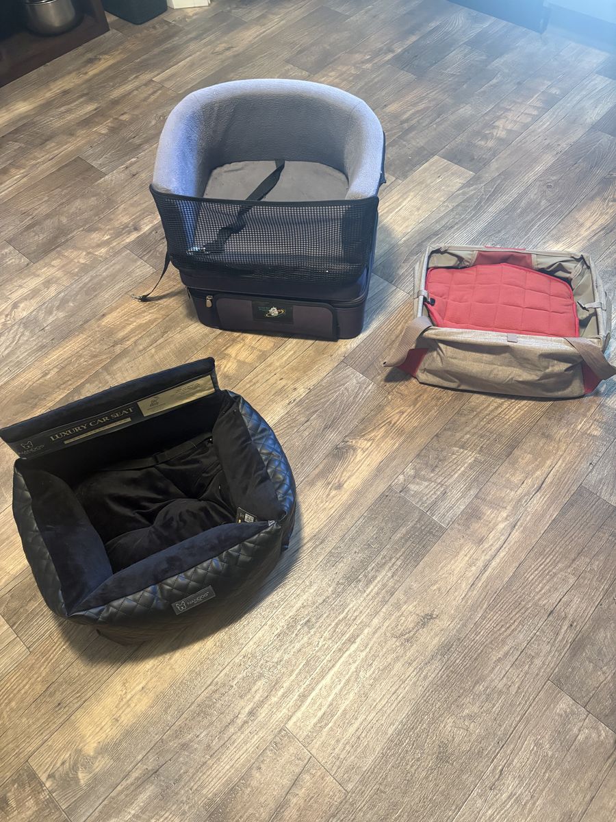 Puppy Car Seats