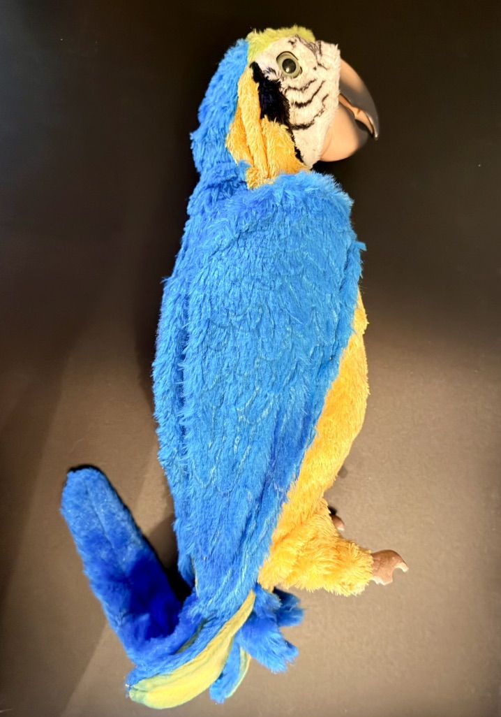 Main image 3