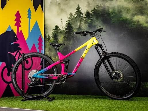 2024 Marin Alpine Trail Carbon (Large)