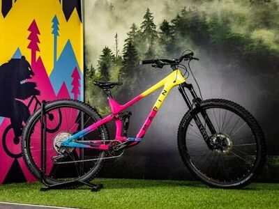 2024 Marin Alpine Trail Carbon (Large)