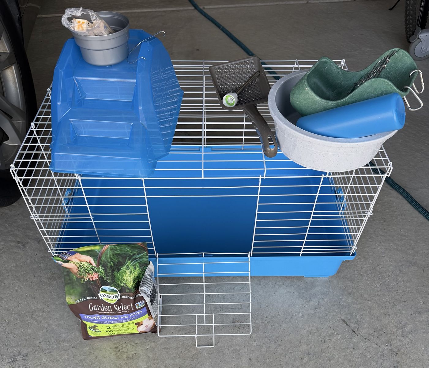 Guinea Pig Cage and Food