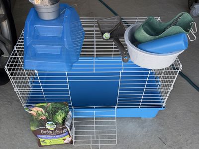 Guinea Pig Cage and Food