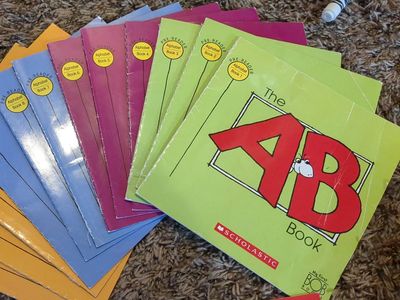 Giant pile of BOB books