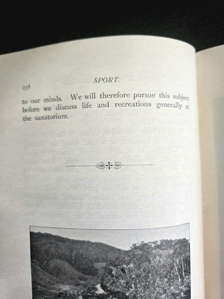 Main image 4