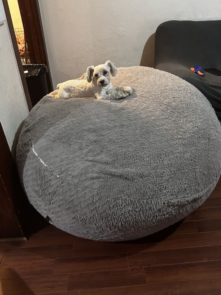 Gigantic Beanbag