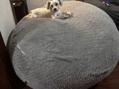 Gigantic Beanbag