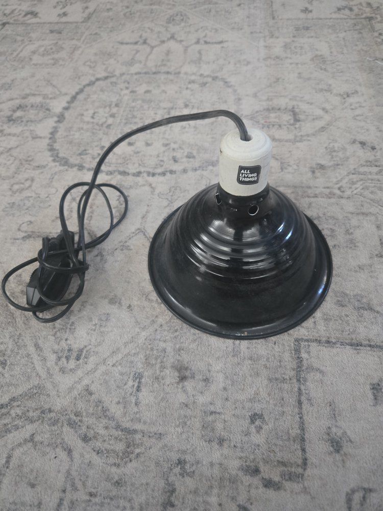 All Living Things Black Reptile/Amphibian Heat Lamp Fixture
