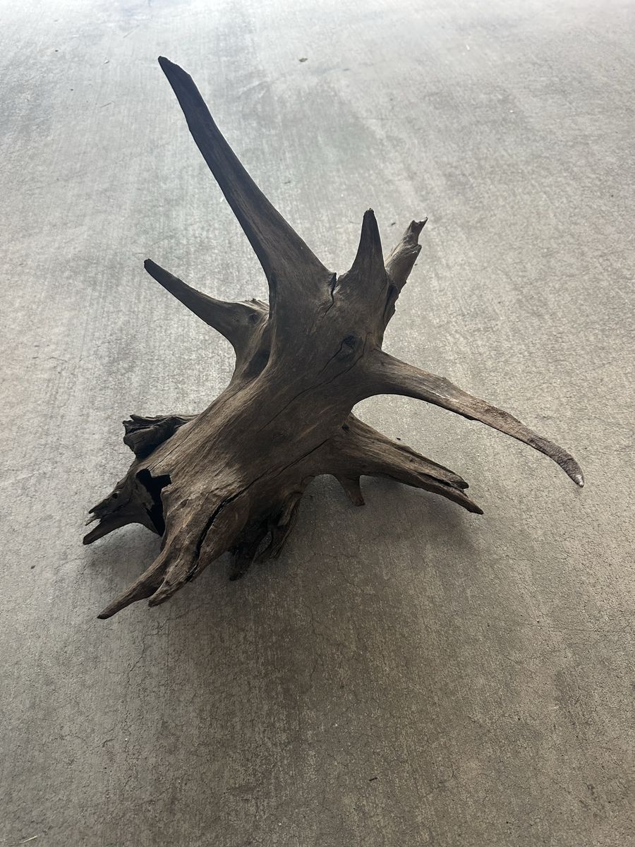 Fish Tank natural tree root stump driftwood