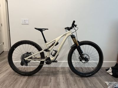 Specialized Stumpjumper Evo Pro (S2)