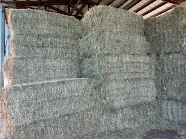 Grass Hay Bales