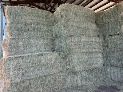 Grass Hay Bales