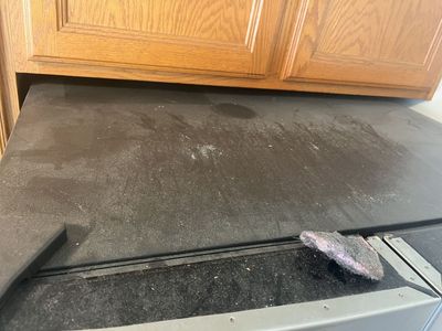 House cleaners