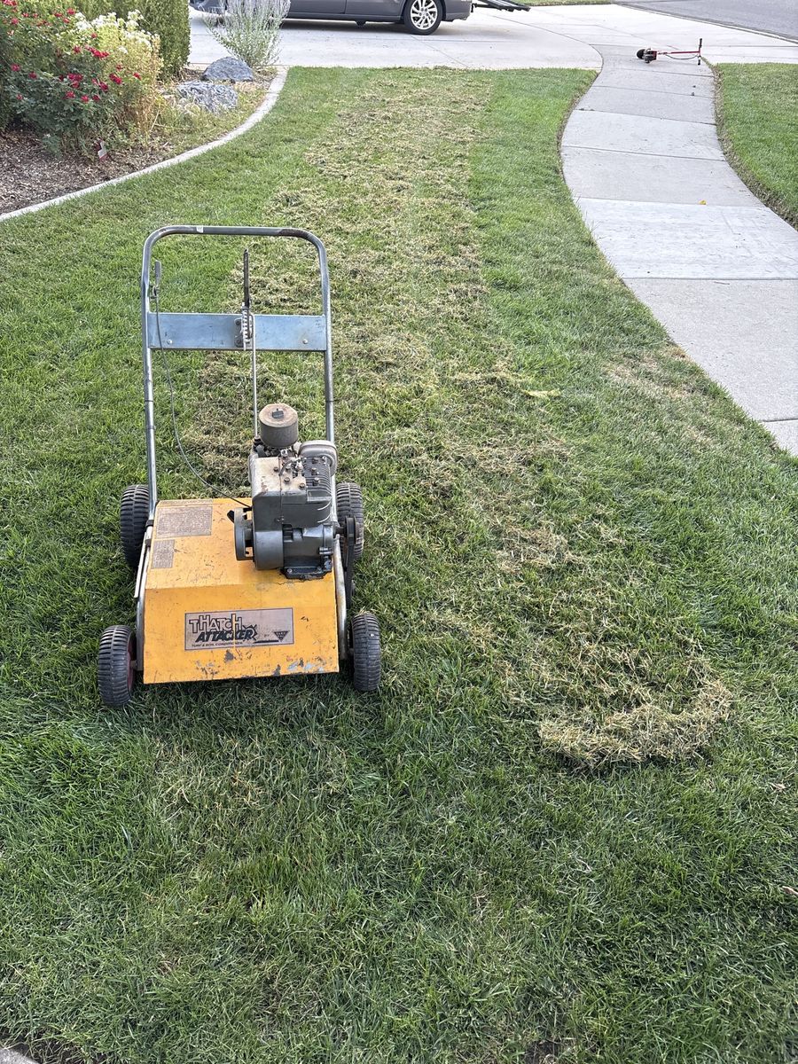 Yard Vac Dethatcher