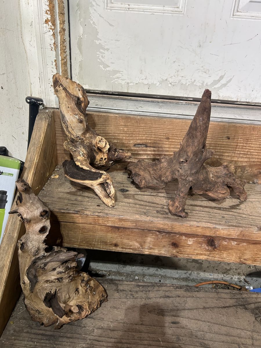 Reptile wood