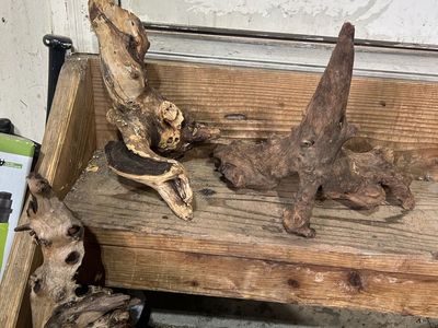 Reptile wood