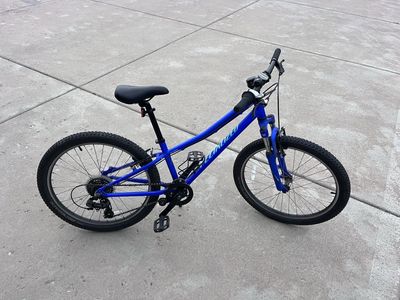 Specialized Hotrock Blue Kids Mountain Bike 24 Inch Wheels