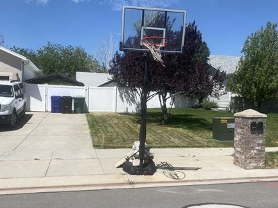 Free Lifetime brand adjustable basketball hoop