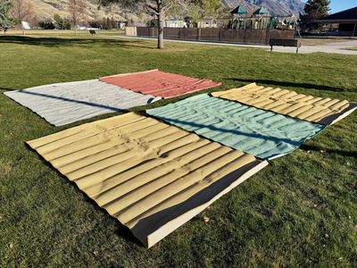 Vibrant Outdoor/Indoor rugs (Need Gone Today!)