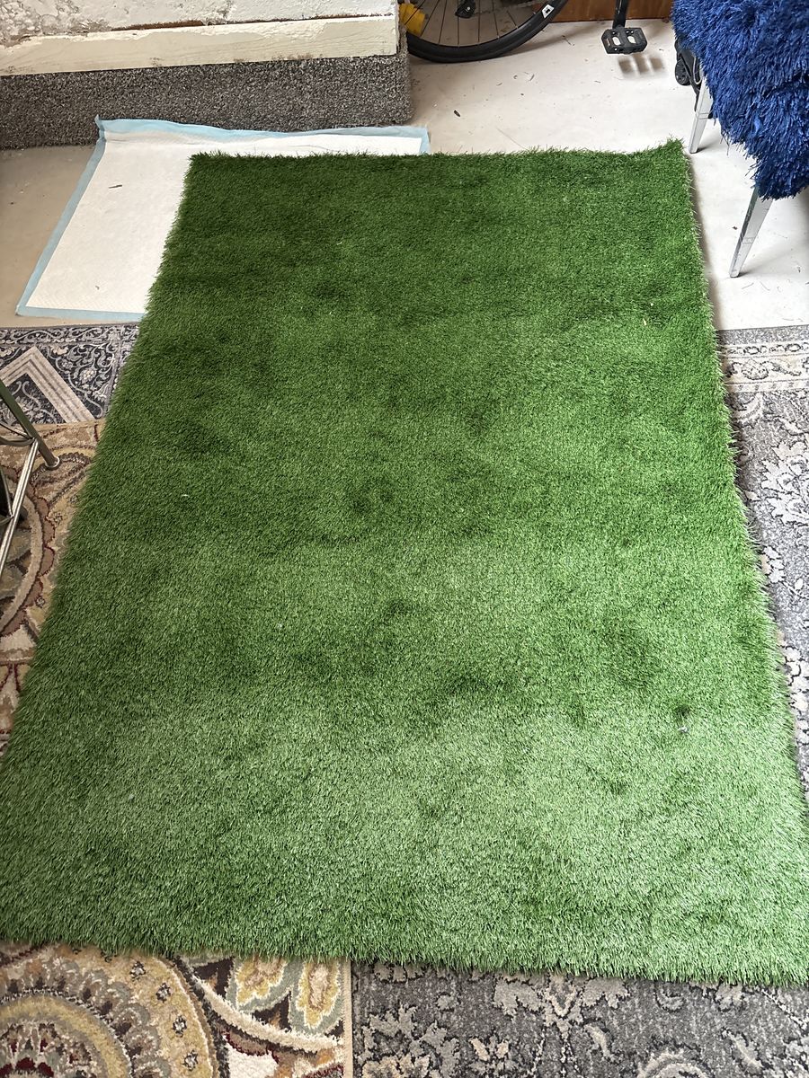 Infoor OutDoor Puppy Traing Pad