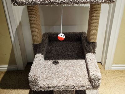 Frisco 32-in Real Carpet Solid Wood Cat Tree with Toy