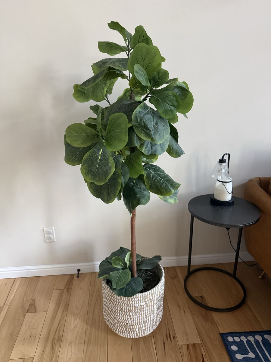 Artificial Fiddle Leaf Fig Tree in Woven Planter Basket