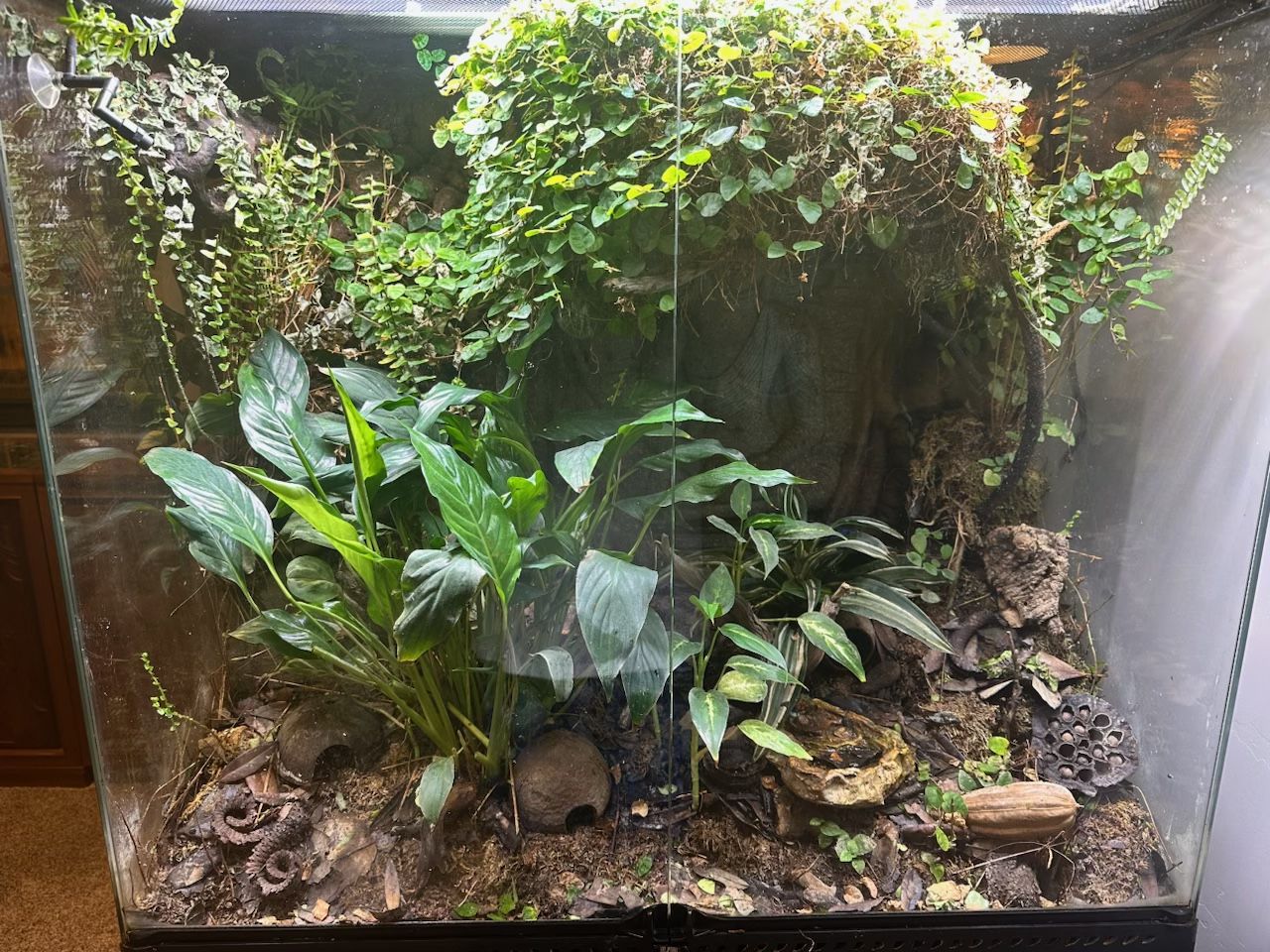 Main image 2