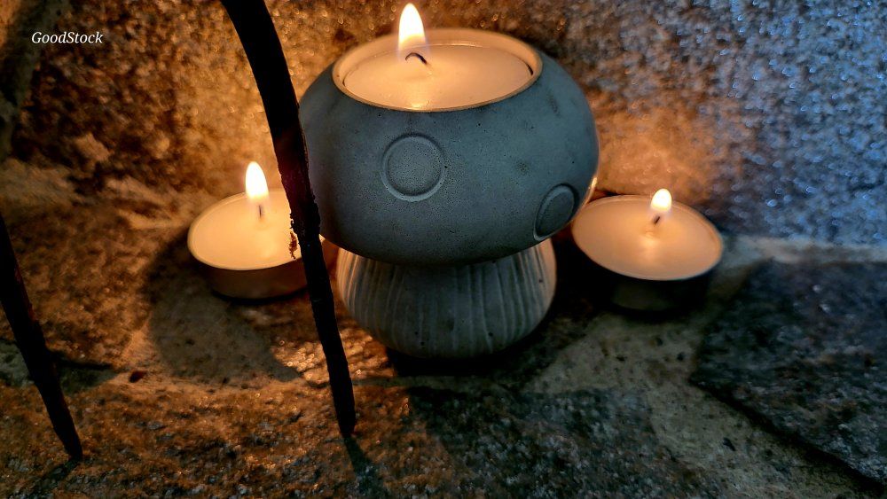 Tealight ┌( ಠ‿ಠ )┘mushroom indoor outdoor :D