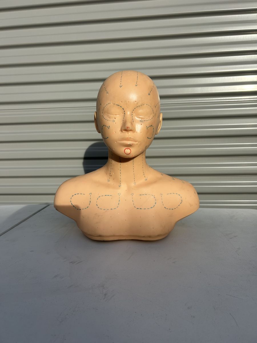 Make Up or Face Painting Practice Head