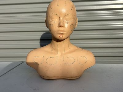 Make Up or Face Painting Practice Head