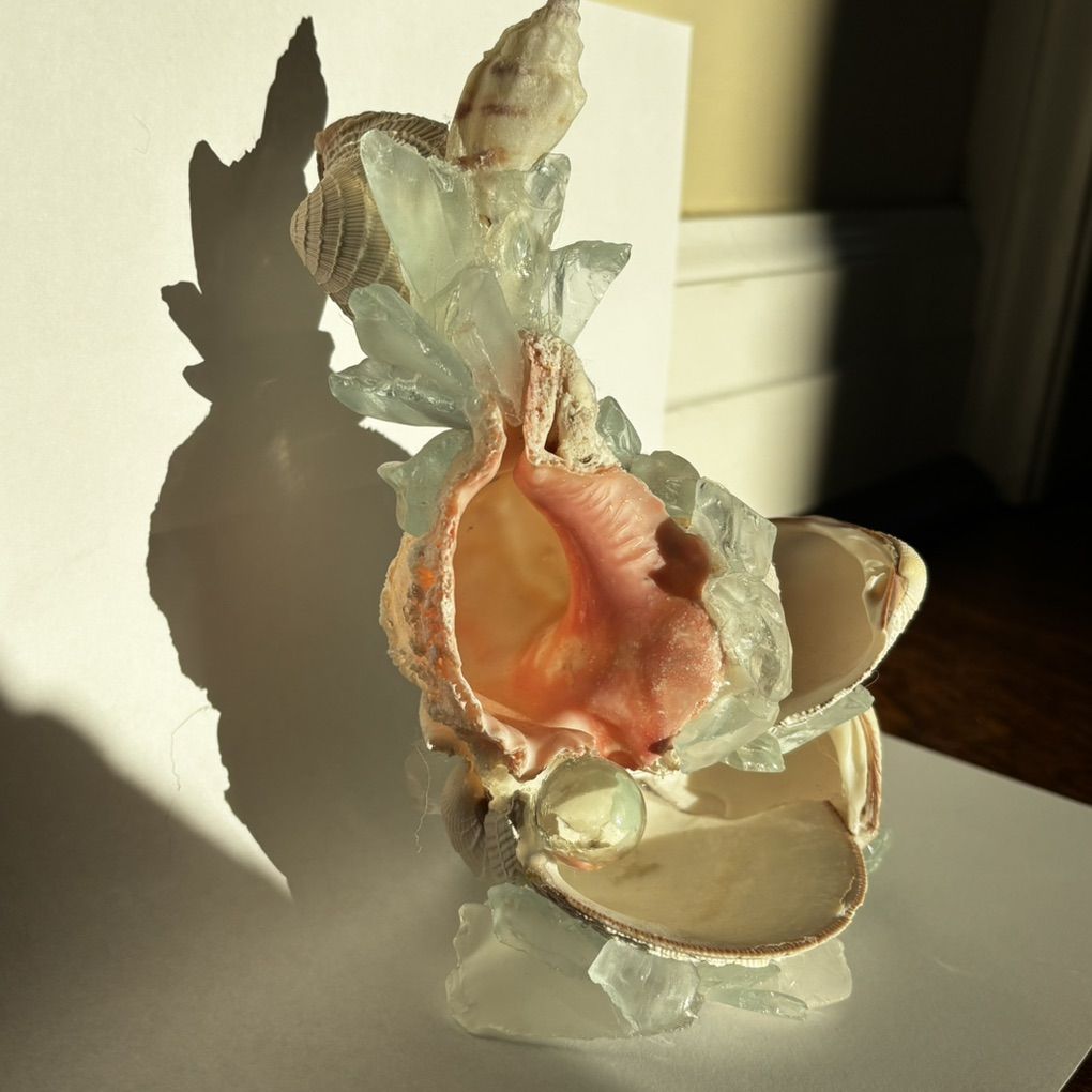 Seashell Jewelry Holder