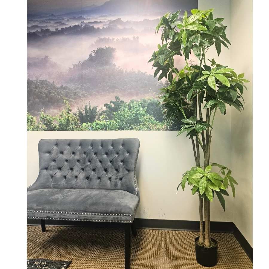 Set of 2 Tall Lifelike Money Trees / Indoor Decorative Trees / Artificial