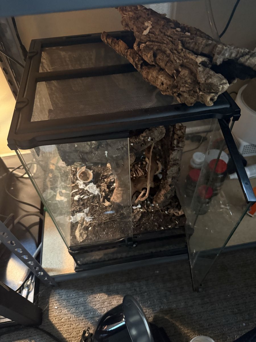 Enclosure / Terrarium / Vivarium