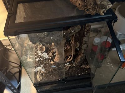 Enclosure / Terrarium / Vivarium